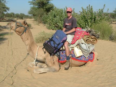 Thar Desert camel